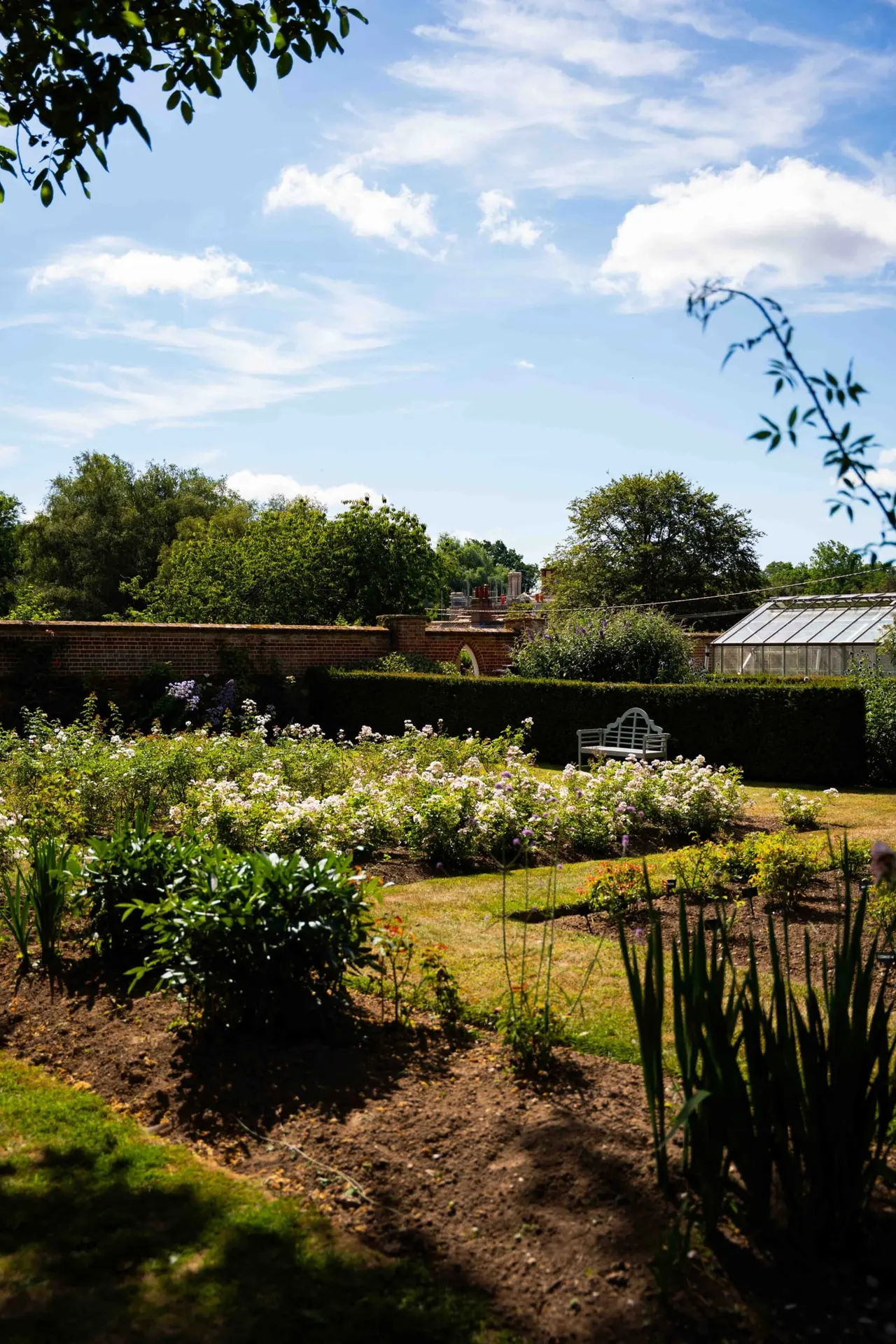 Walled kitchen garden with flowering plants and vegetable beds, brick walls, greenhouse and mature trees under blue sky.