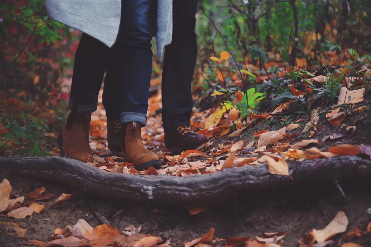 Person wearing boots walking through woodland path covered with autumn leaves and fallen log.