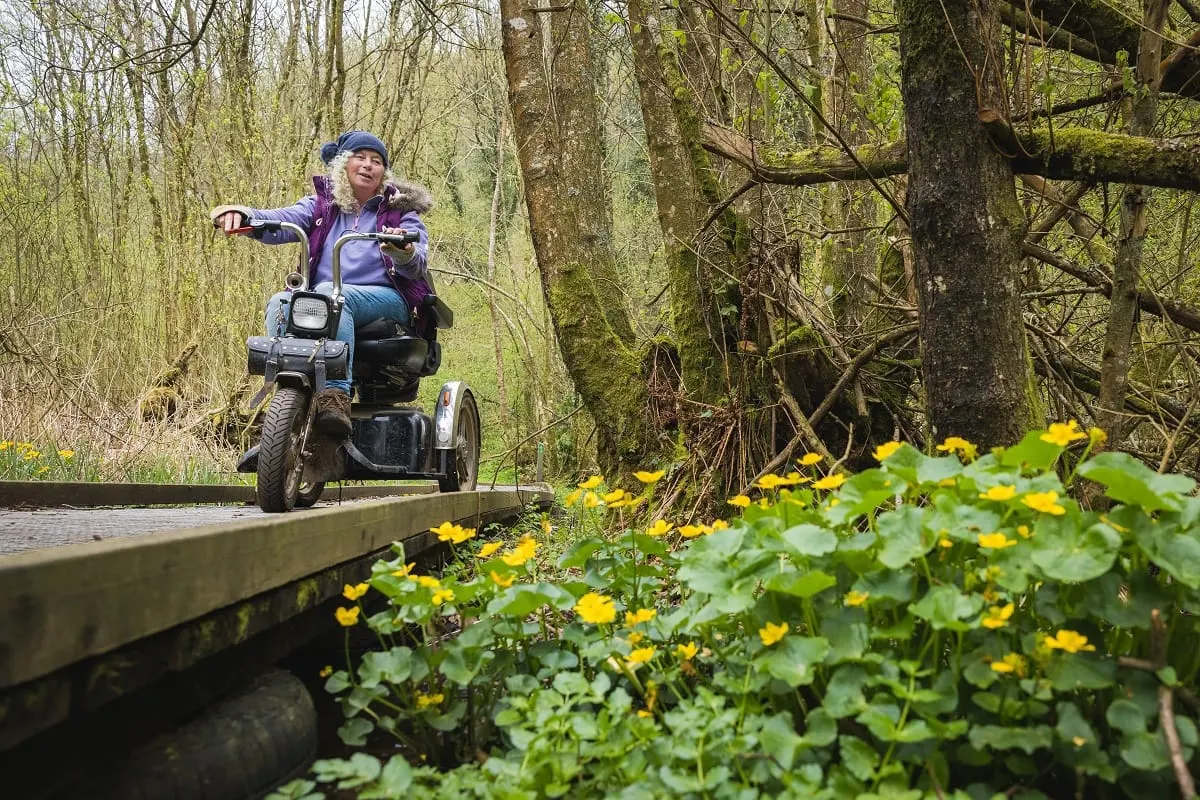 Person riding a three-wheeled trike along a woodland path bordered by yellow flowers and moss-covered trees.