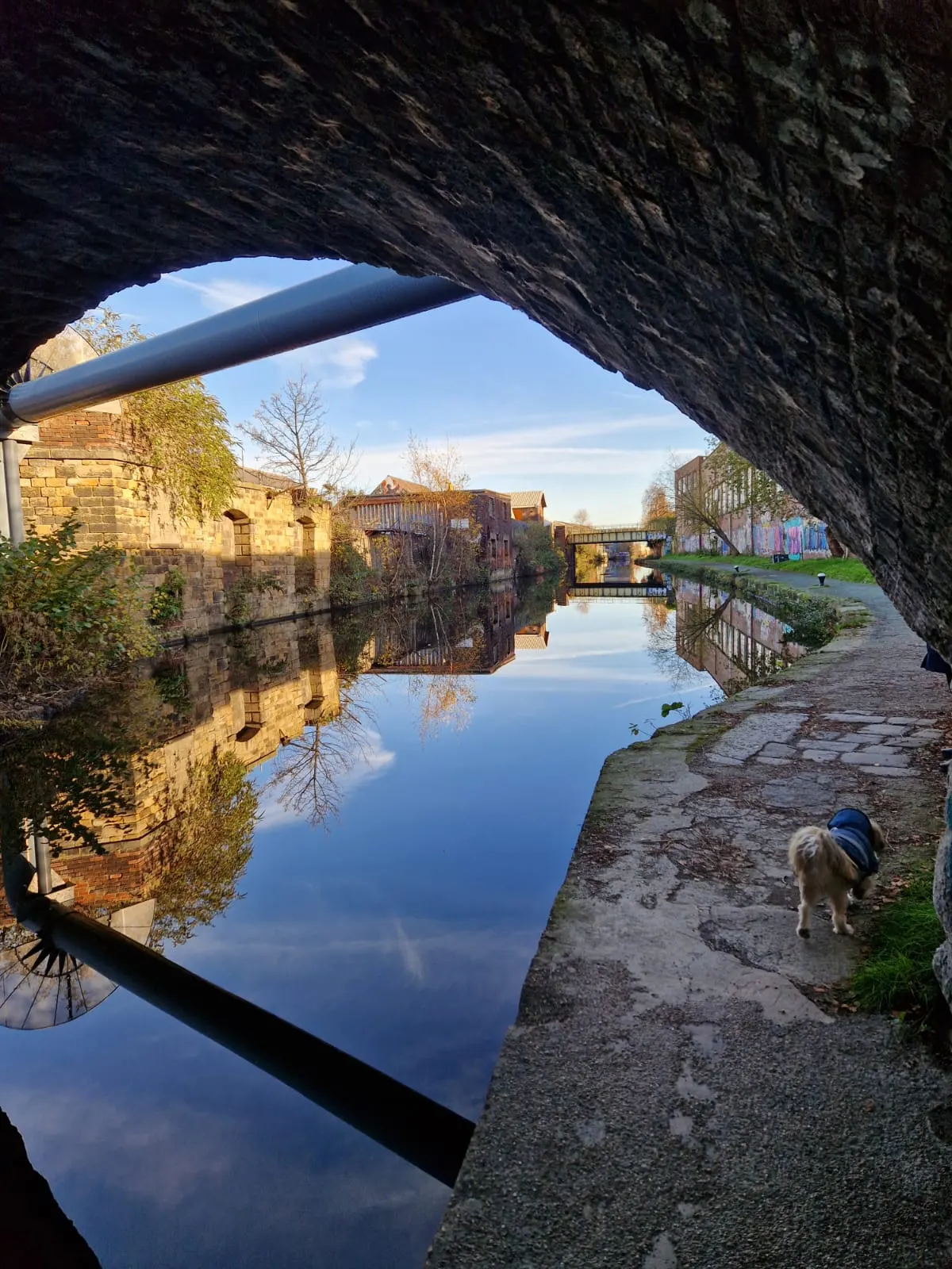 View through a stone bridge arch of a calm canal lined with historic brick buildings, with a dog on the towpath below.