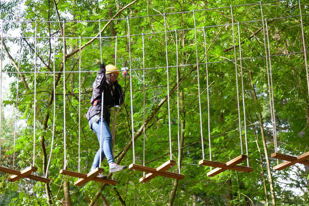 Person zip-lining through a canopy course suspended among lush green trees.