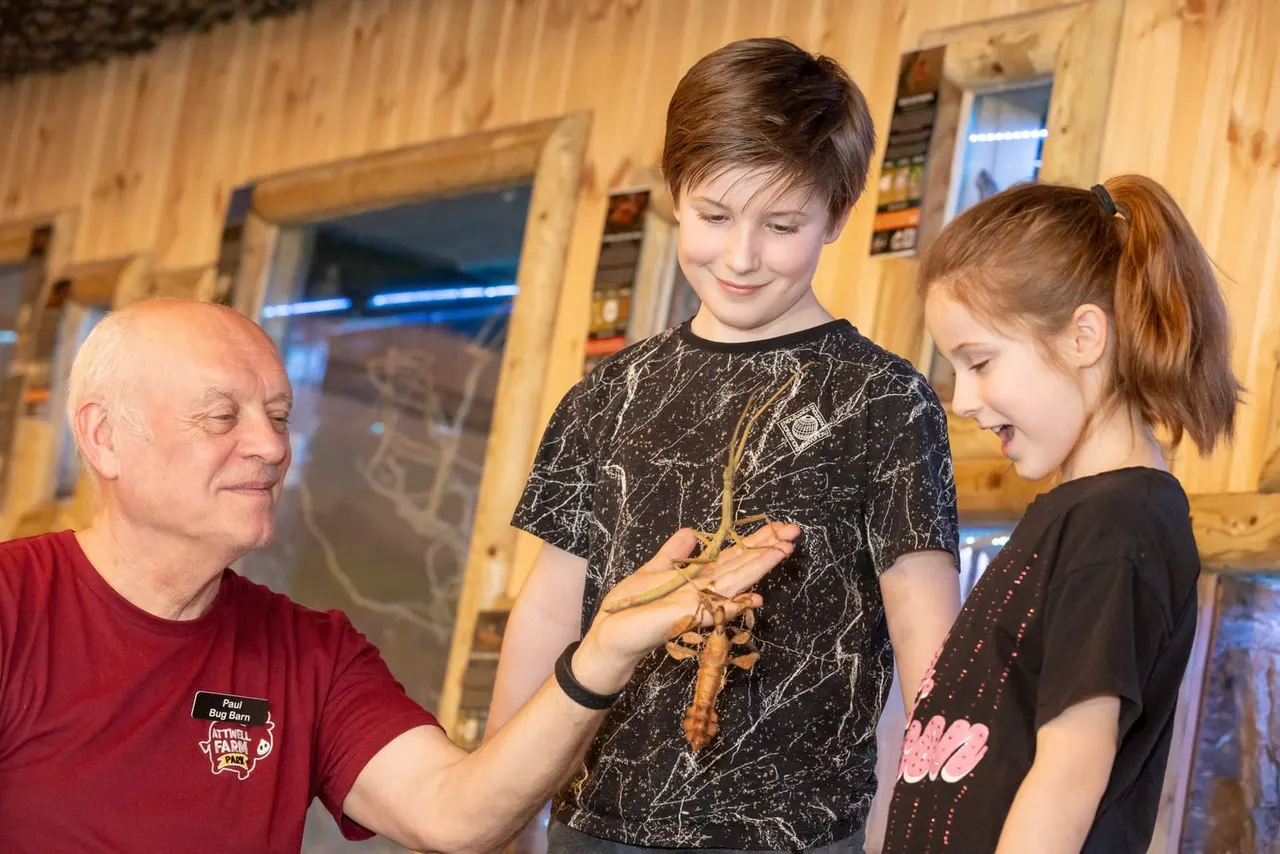 An adult staff member shows two children a small reptile during an indoor educational activity at the farm venue.