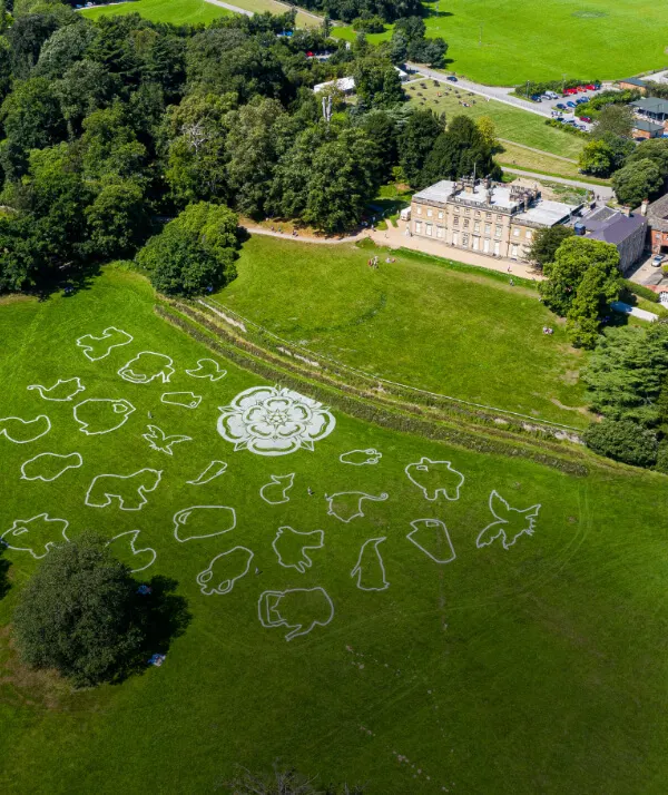 Aerial view of grounds at a country house museum with animal-shaped hedge maze outlined in white on a large green lawn.