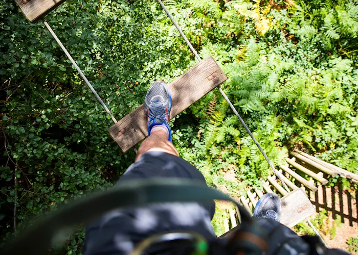 Person's feet in trainers on a wooden walkway suspended amongst green foliage in a treetop course.
