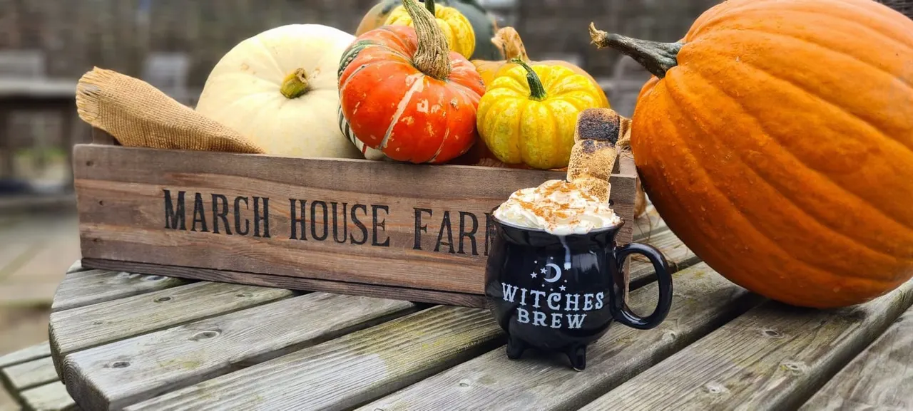 Wooden crate of autumn gourds and pumpkins beside a cauldron-shaped mug on a rustic table.