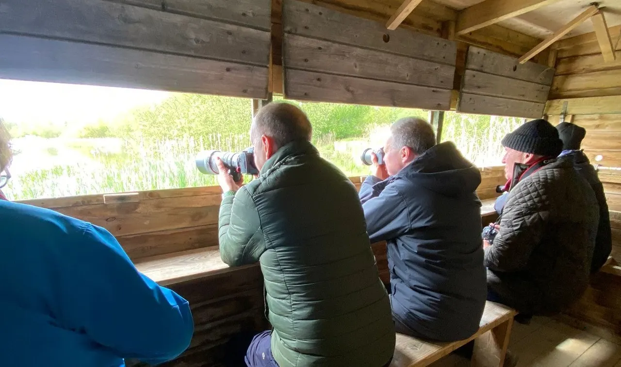 Visitors with binoculars observing wildlife from a wooden hide overlooking water and reeds.