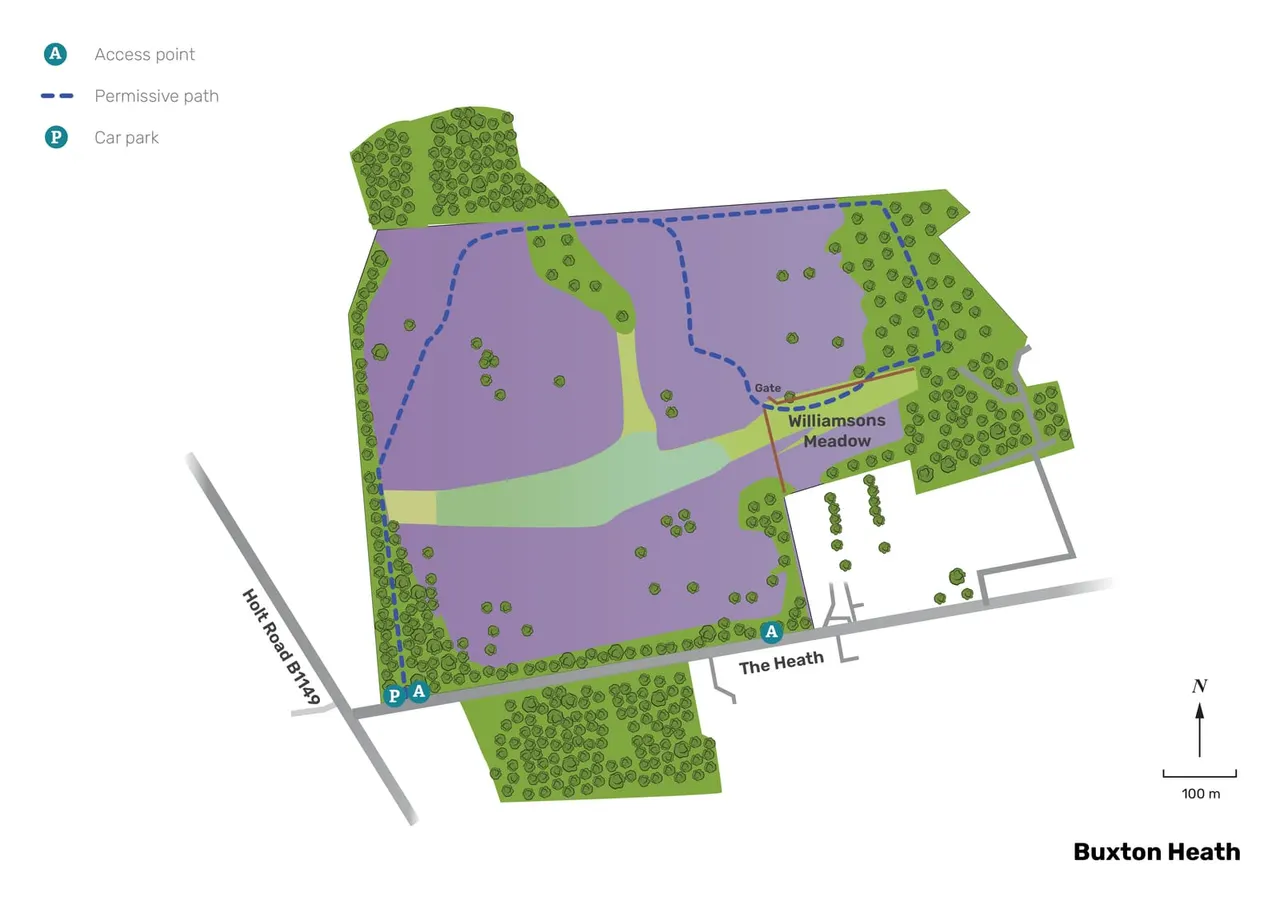 Norfolk Wildlife Trust – Buxton Heath
