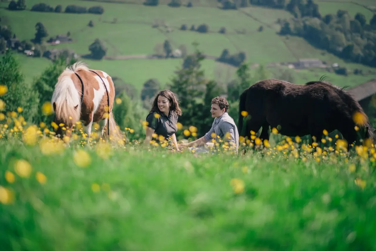 Two children interacting with farm animals in a wildflower meadow overlooking rural countryside.