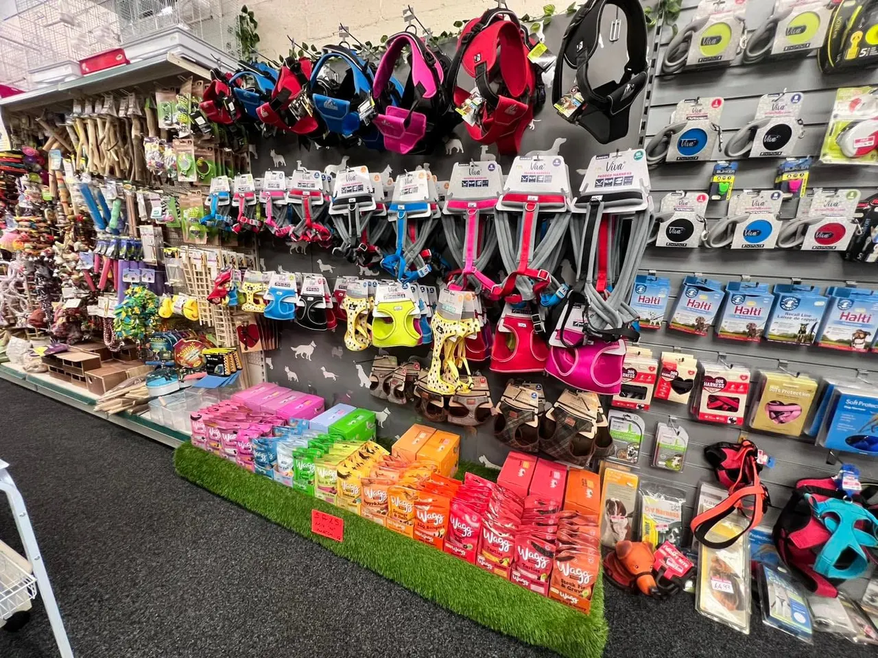 Retail display of pet harnesses, leads and accessories in bright colours hung on walls and arranged on shelves.