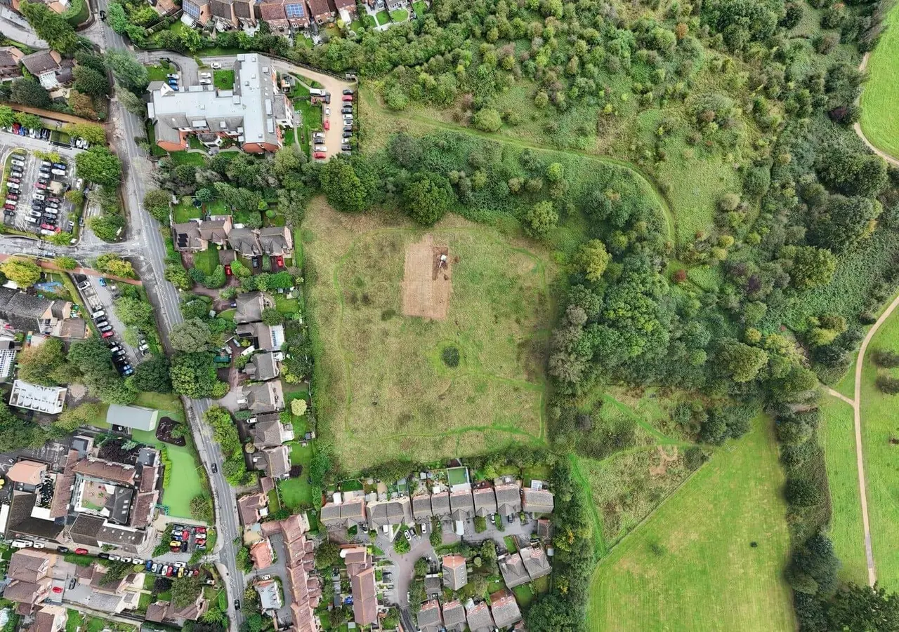 Aerial view of New Century Park showing a large open grassy field surrounded by woodland, with residential streets and houses visible along one edge.