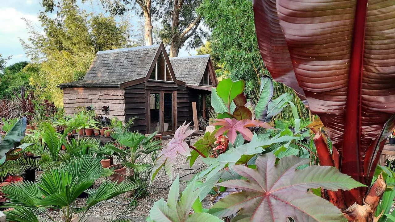 Tropical garden with exotic plants and flowering shrubs surrounding a dark wooden cottage with pitched roof.