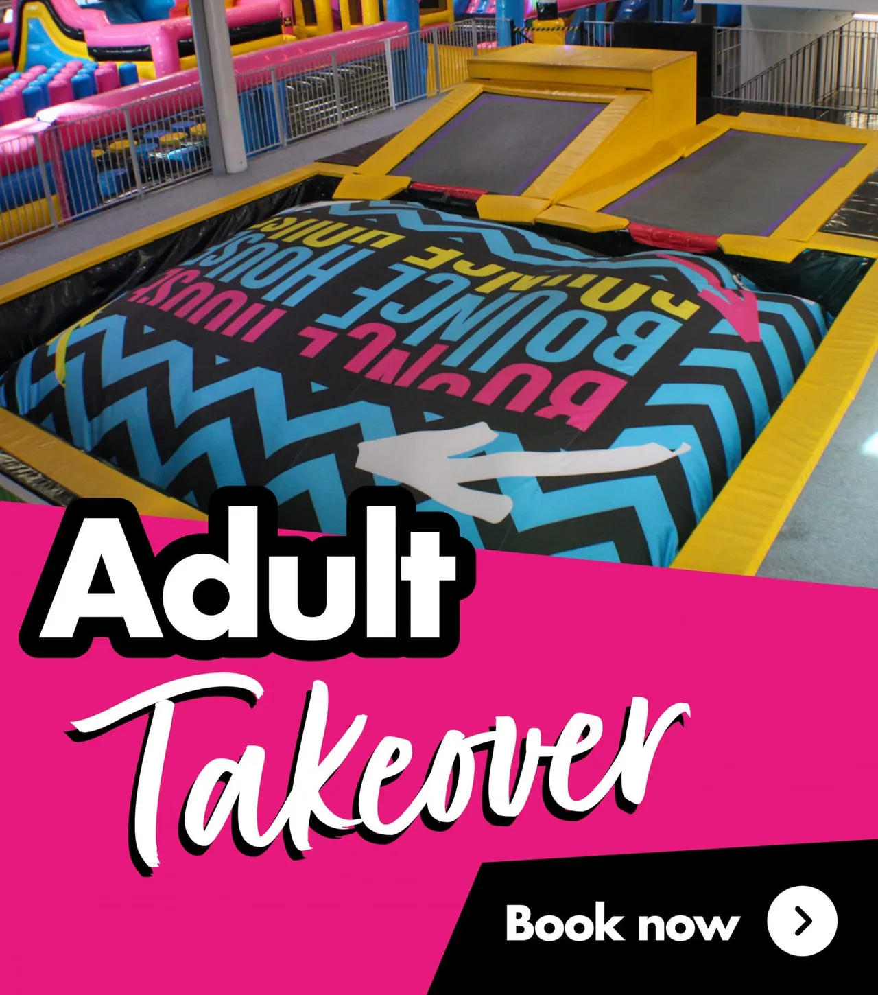 Bounce House Inflatable Theme Park