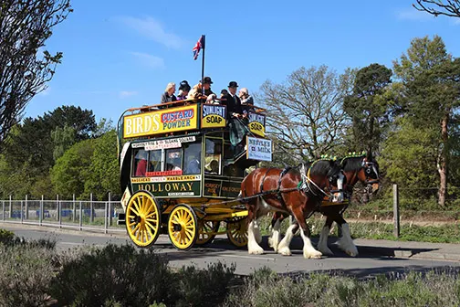 A double-decker horse-drawn omnibus pulled by two horses travels along a tree-lined road.