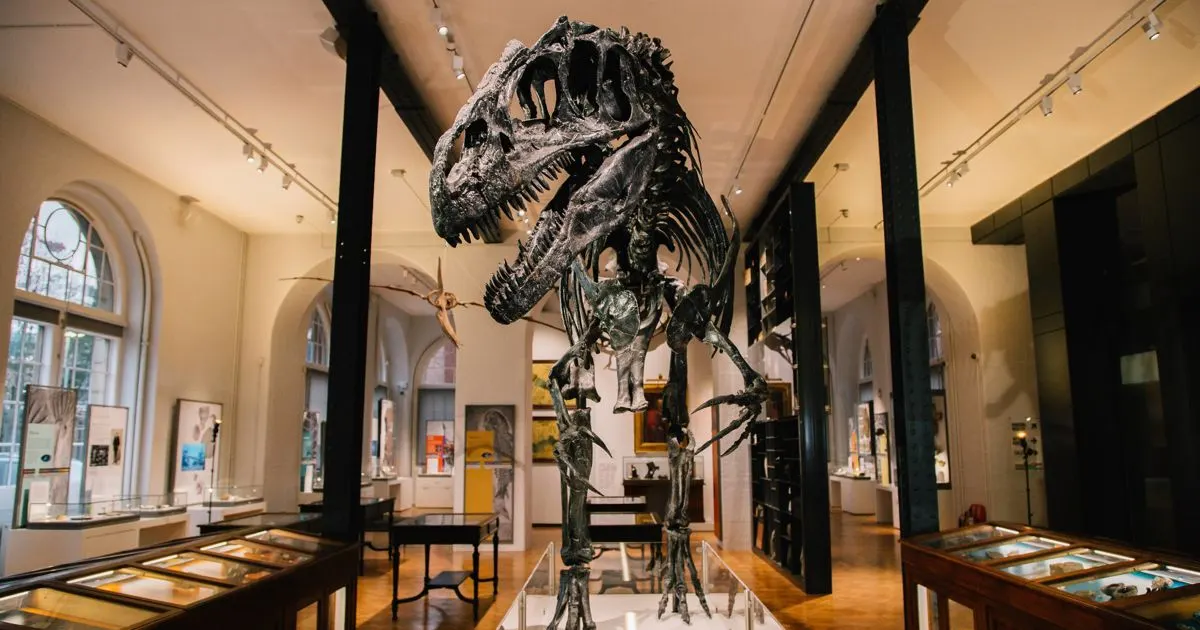 Large dinosaur skeleton displayed in a museum gallery with display cases and tall black support columns.