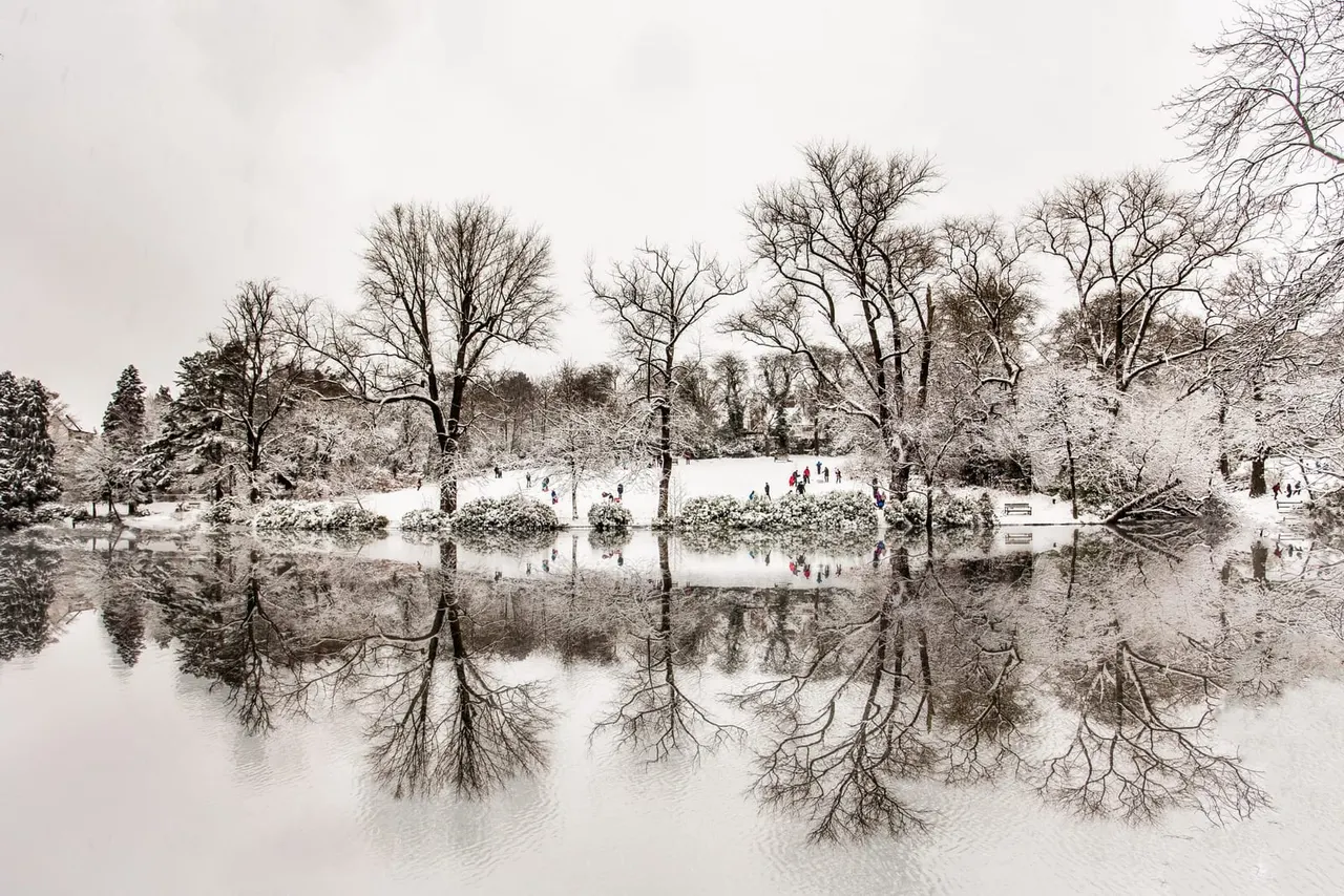 Snow-covered park with bare trees reflected in a frozen pond, visitors walking on the ice in the distance.
