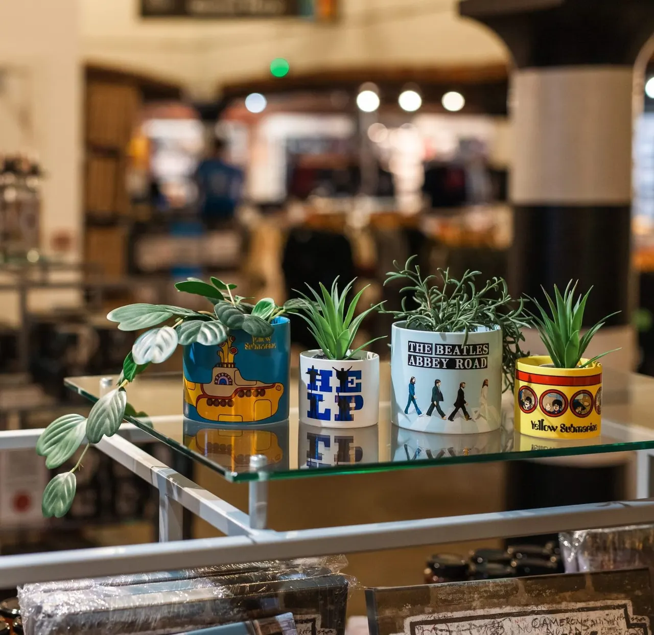 Potted plants in Beatles-themed containers displayed on a shelf inside a museum café or gift shop.
