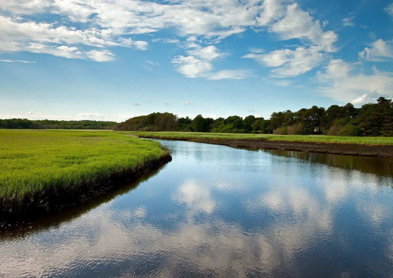 A meandering waterway winds through flat marshland with green reed beds and distant woodland under a blue sky with white clouds.