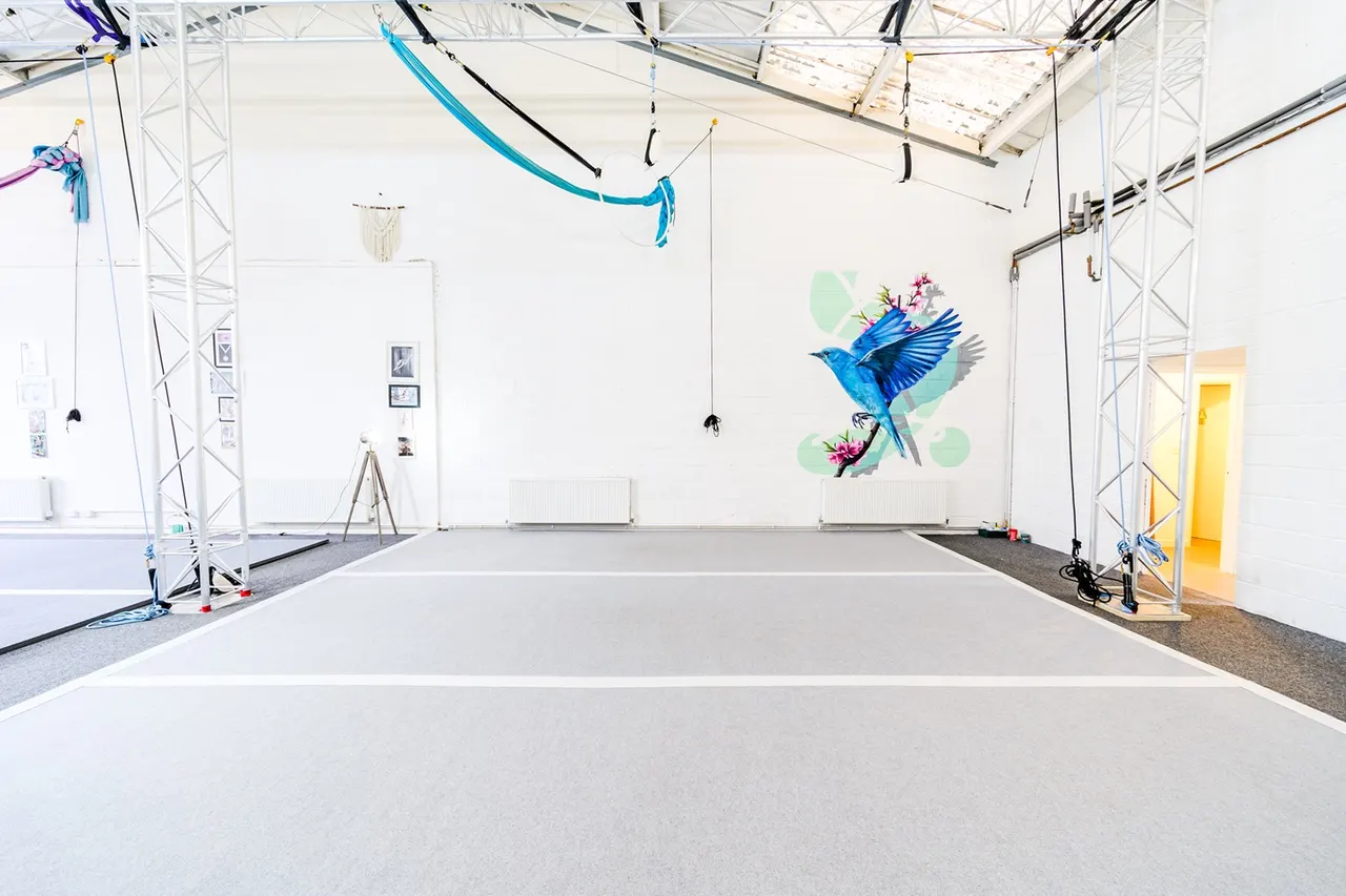 Spacious indoor studio with high ceilings, rigging equipment, kites suspended from above, and a blue bird mural on the white wall.
