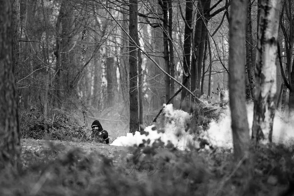 Gunbarrel Creek woodland activity