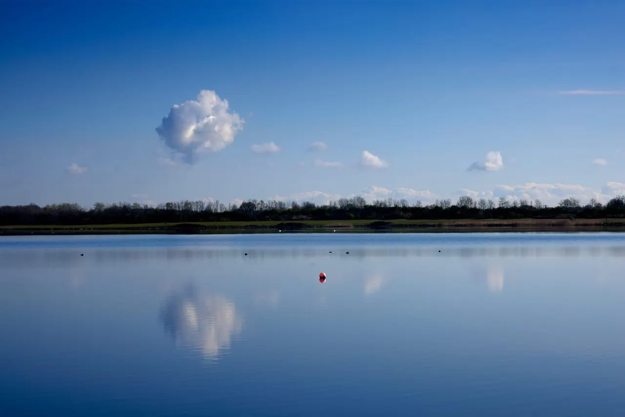 Calm blue lake with a red buoy, bare trees along the far bank, white clouds in clear sky, and waterfowl on the water.