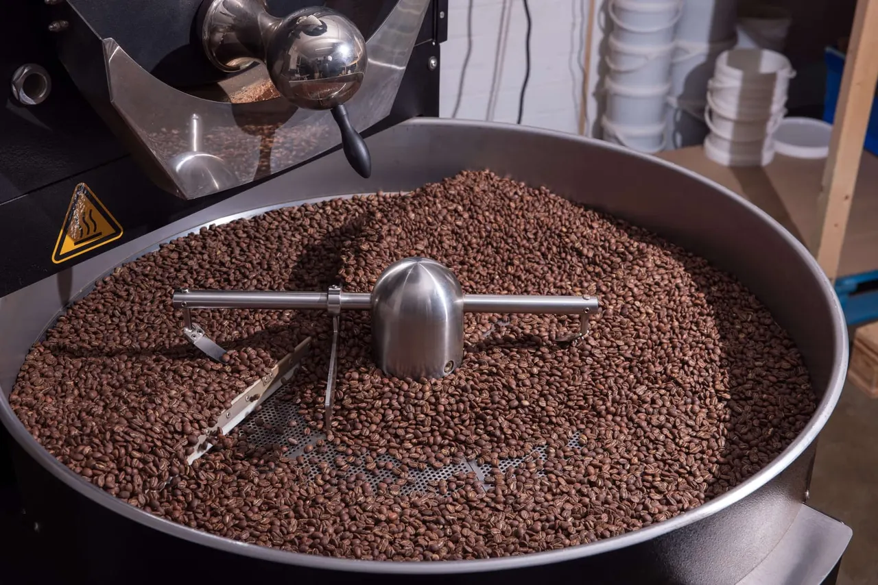 Coffee beans roasting in a large drum roaster with metal stirring paddles and equipment visible.