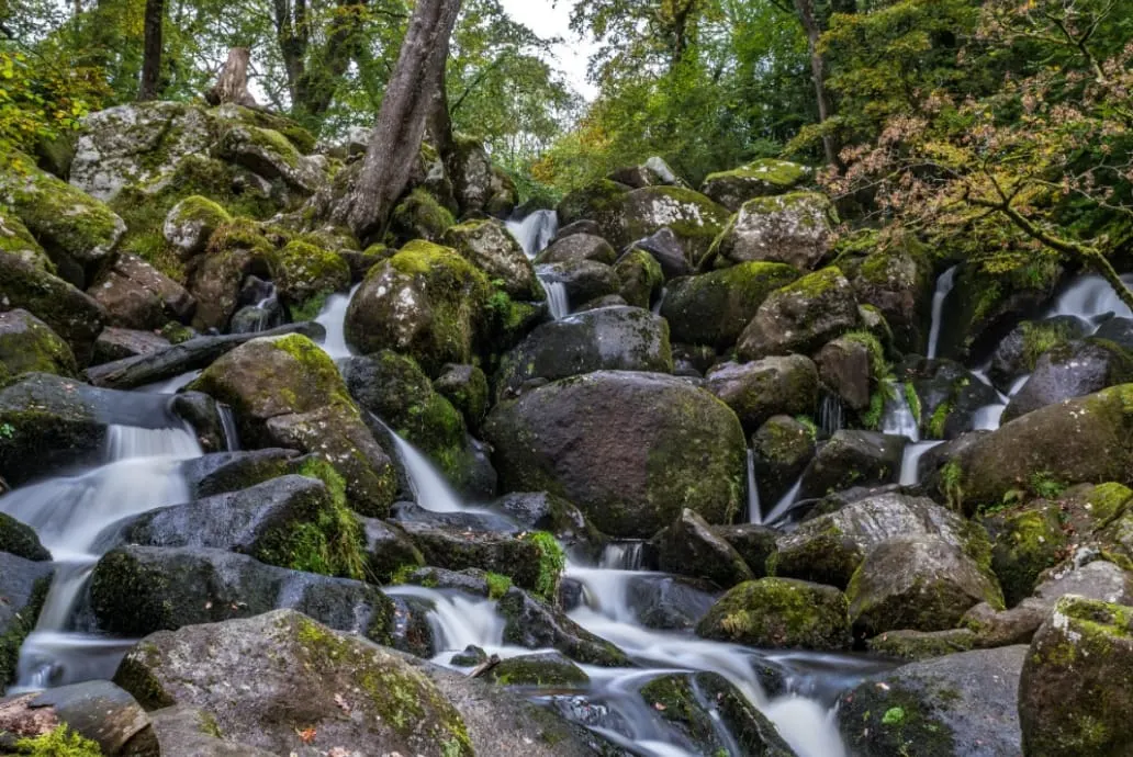 A woodland stream cascades over moss-covered boulders beneath mature trees.