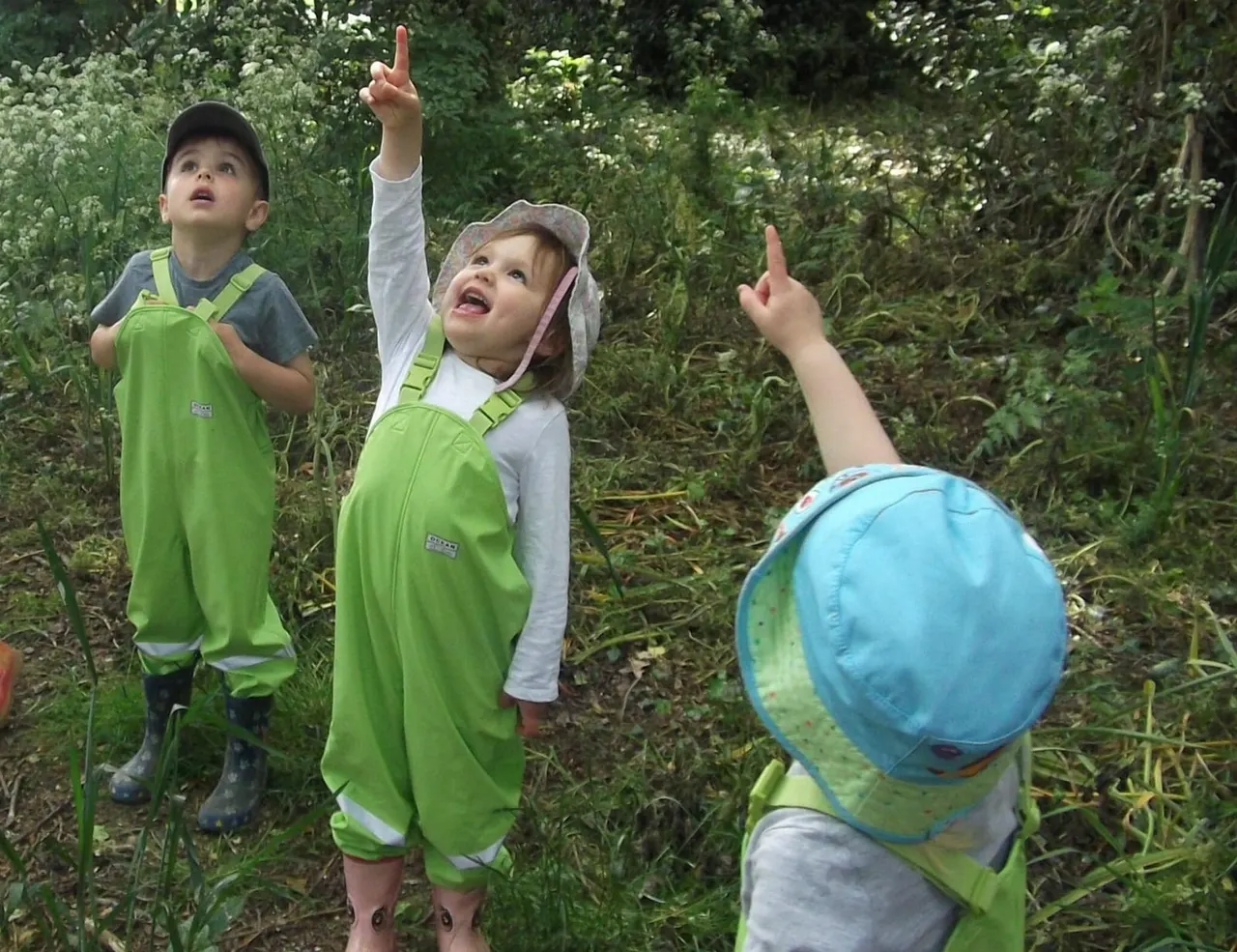 Three young children in bright green outdoor clothing exploring a woodland area, pointing upwards at the canopy.