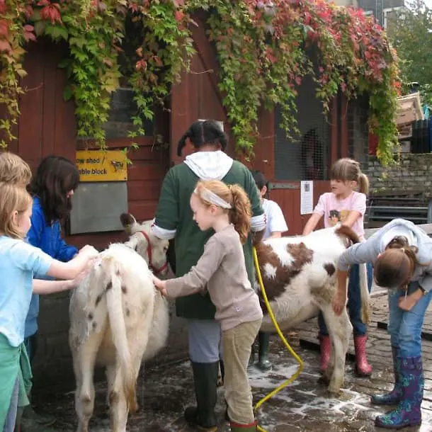 Children petting and grooming farm animals including goats at an outdoor farm enclosure.