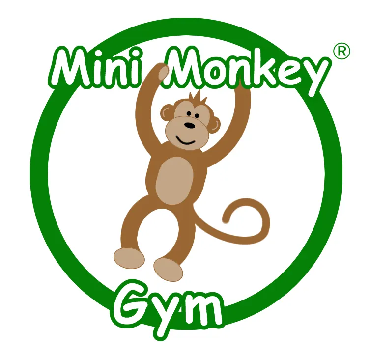 Mini Monkey Gym Norwich