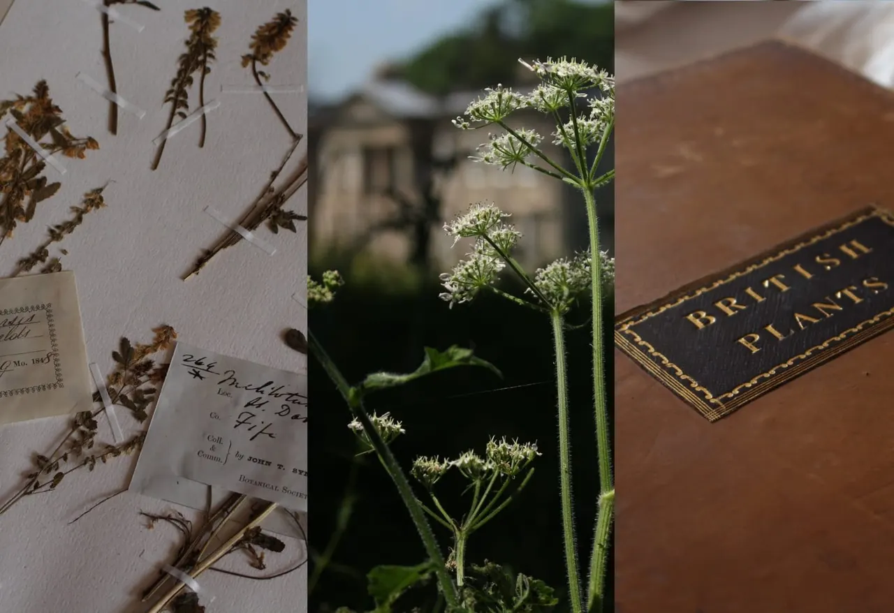 Calke Abbey