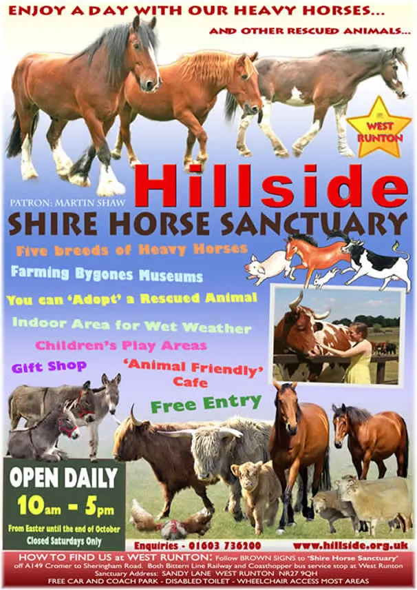 Hillside Shire Horse Sanctuary