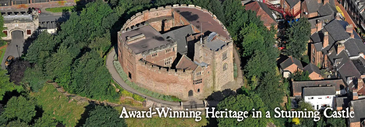Aerial view of a medieval brick castle with circular ramparts surrounded by trees and neighbouring buildings in a town setting.