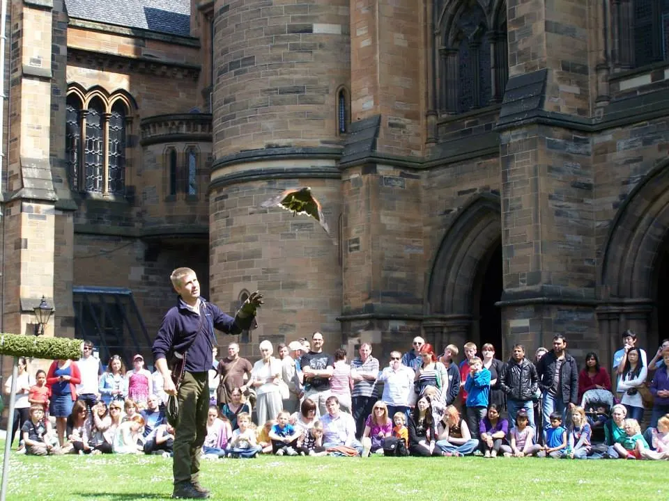 A falconer demonstrates flying a bird of prey to a seated crowd in front of a stone castle building.
