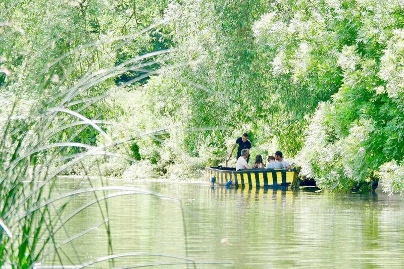 A small yellow and black boat with several passengers gliding through a narrow waterway surrounded by dense green vegetation and overhanging willow trees.