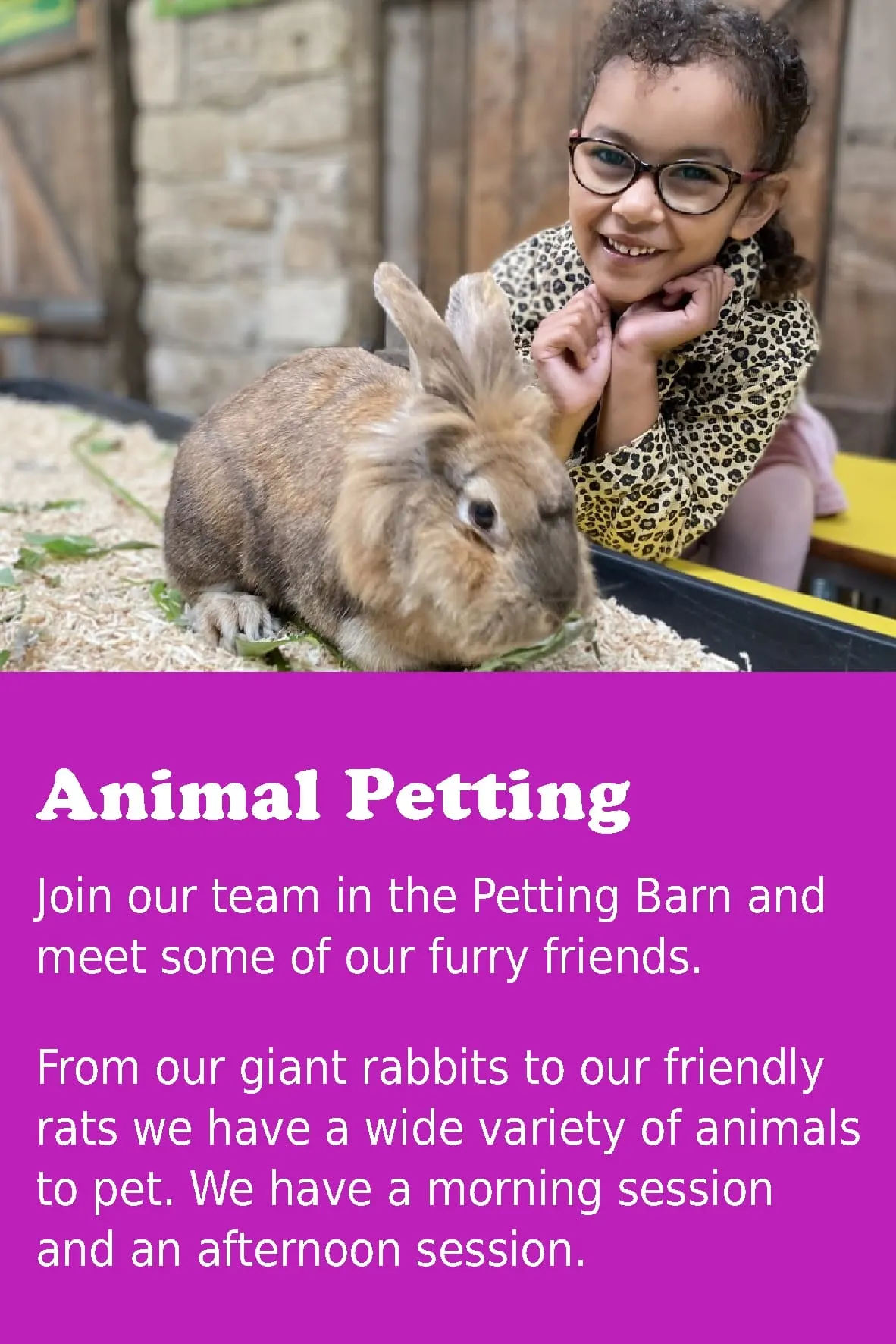 Lancaster Park & Animal Farm