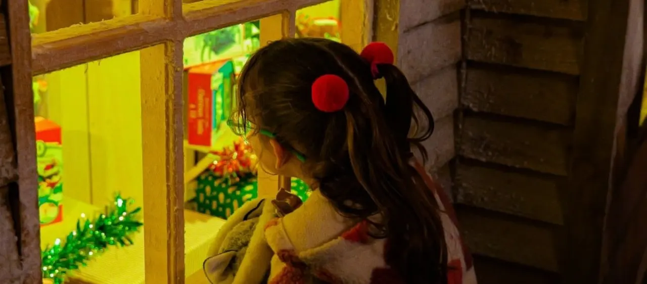 Toy Emporium at Christmas at Bluebells