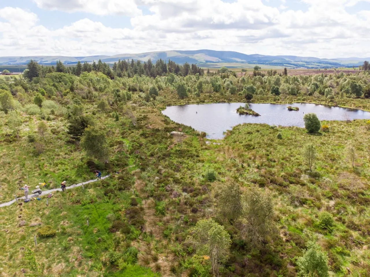 Aerial view of a forest path with visitors walking through woodland towards a small loch, mountains in the distance.