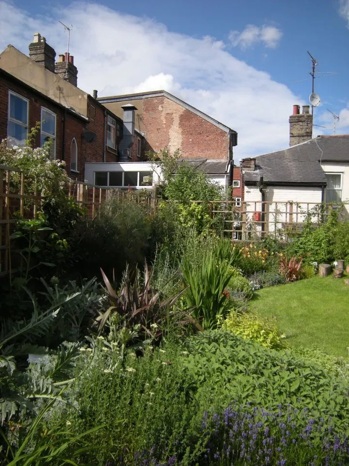 Lush community garden with flowering plants, herbs and vegetables, backed by brick terraced houses under blue sky.