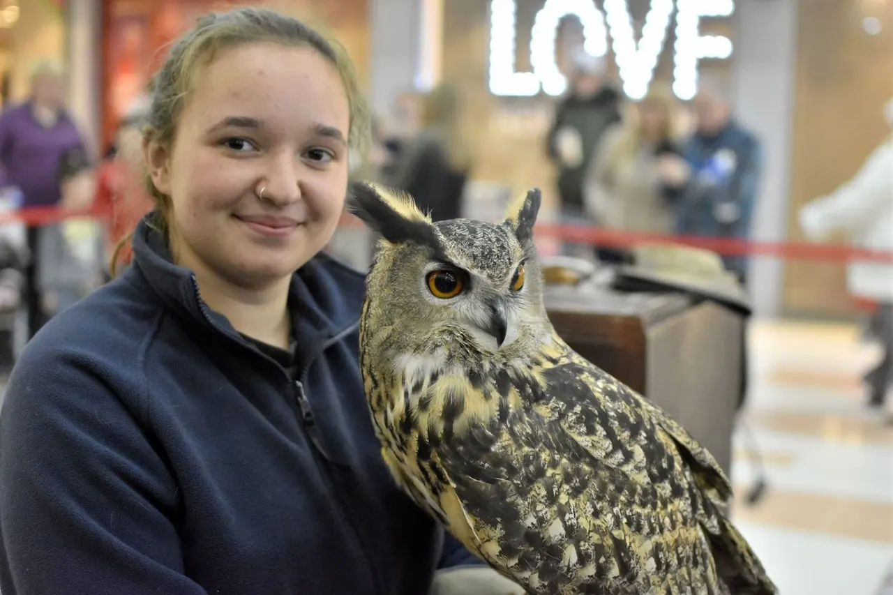 Young person holding an owl with distinctive ear tufts and yellow eyes, smiling at camera indoors.