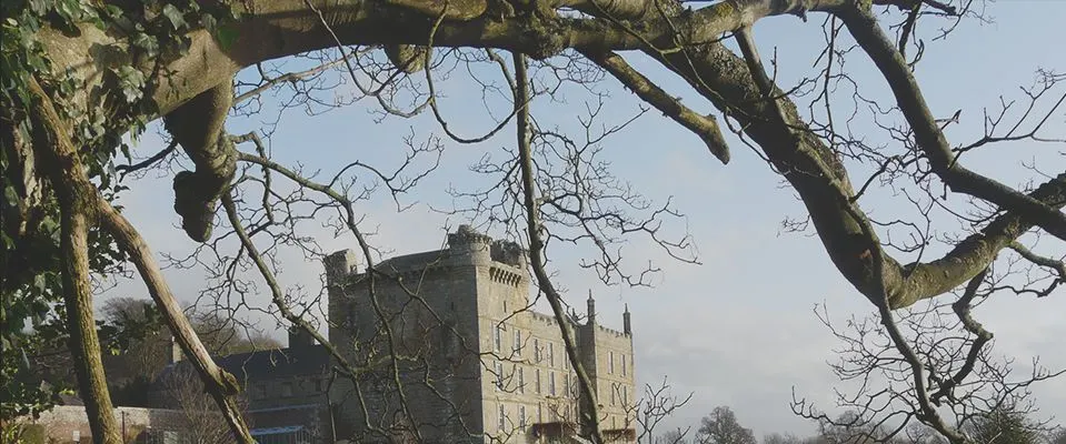 Stone castle viewed through bare winter tree branches.