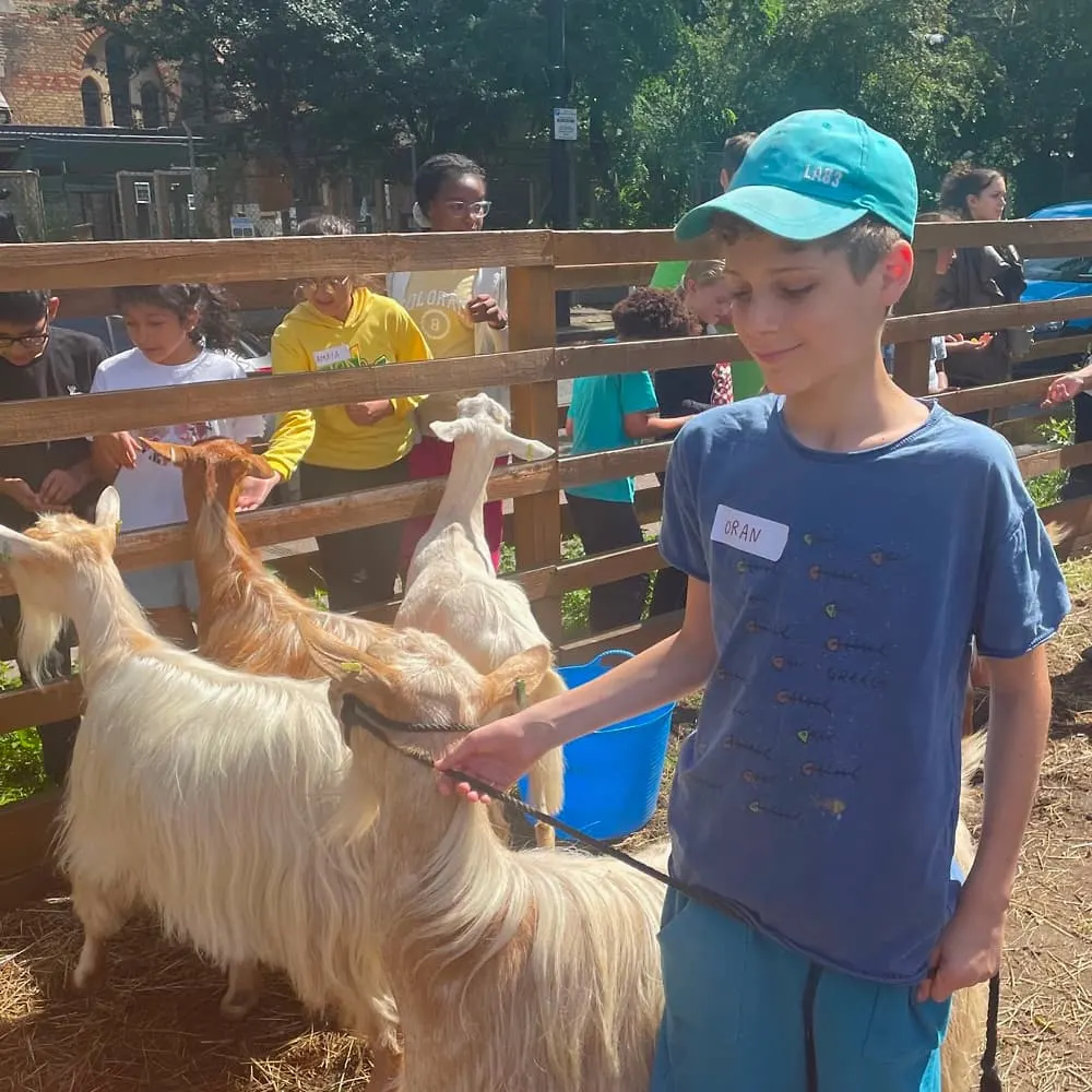 Children petting and feeding goats in a wooden-fenced enclosure at a farm venue.