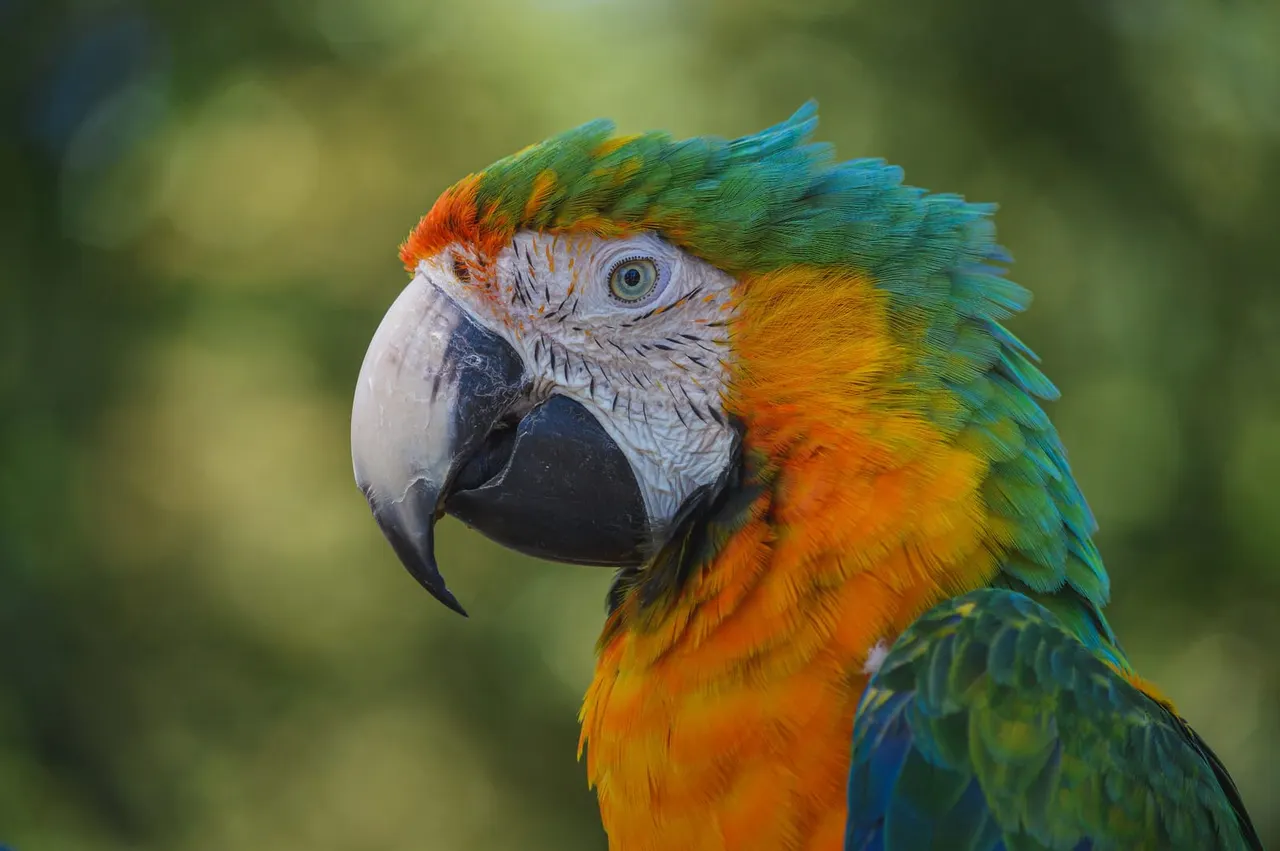 Tropical Birdland crew with birds