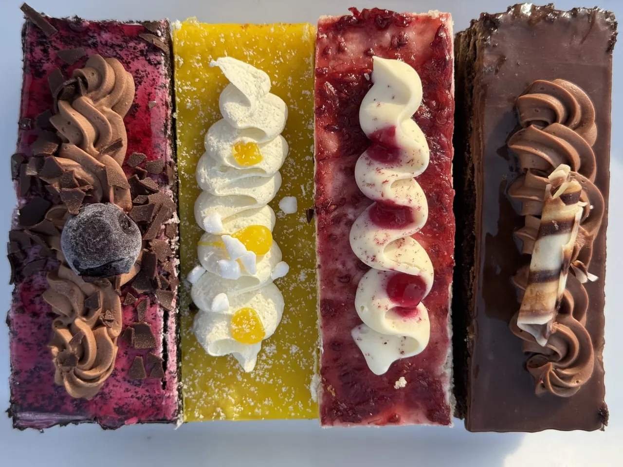 Four rectangular cakes in different colours lined up: chocolate with berries, pistachio with yellow fruit, red berry with cream, and dark chocolate.