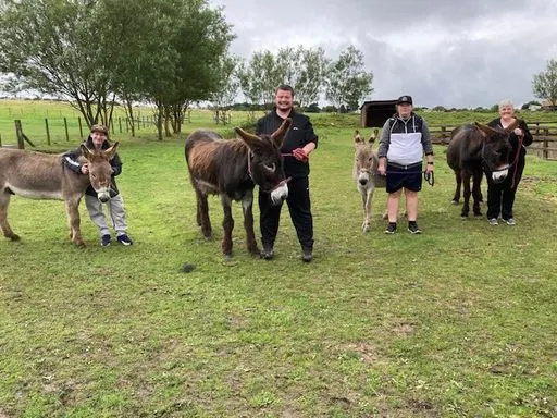 Four visitors interact with donkeys in a grassy paddock at a farm venue.