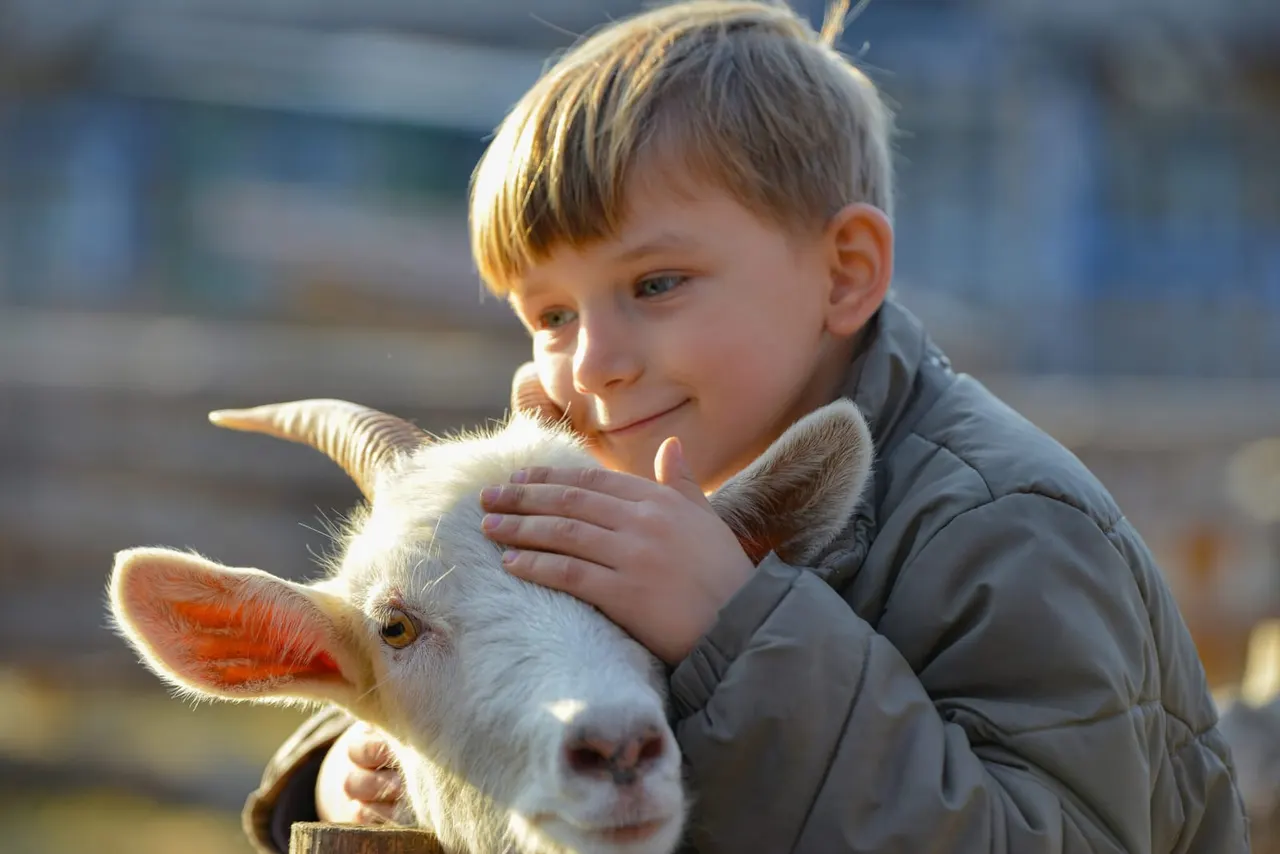 Young child holding and petting a young goat, smiling at a farm venue.