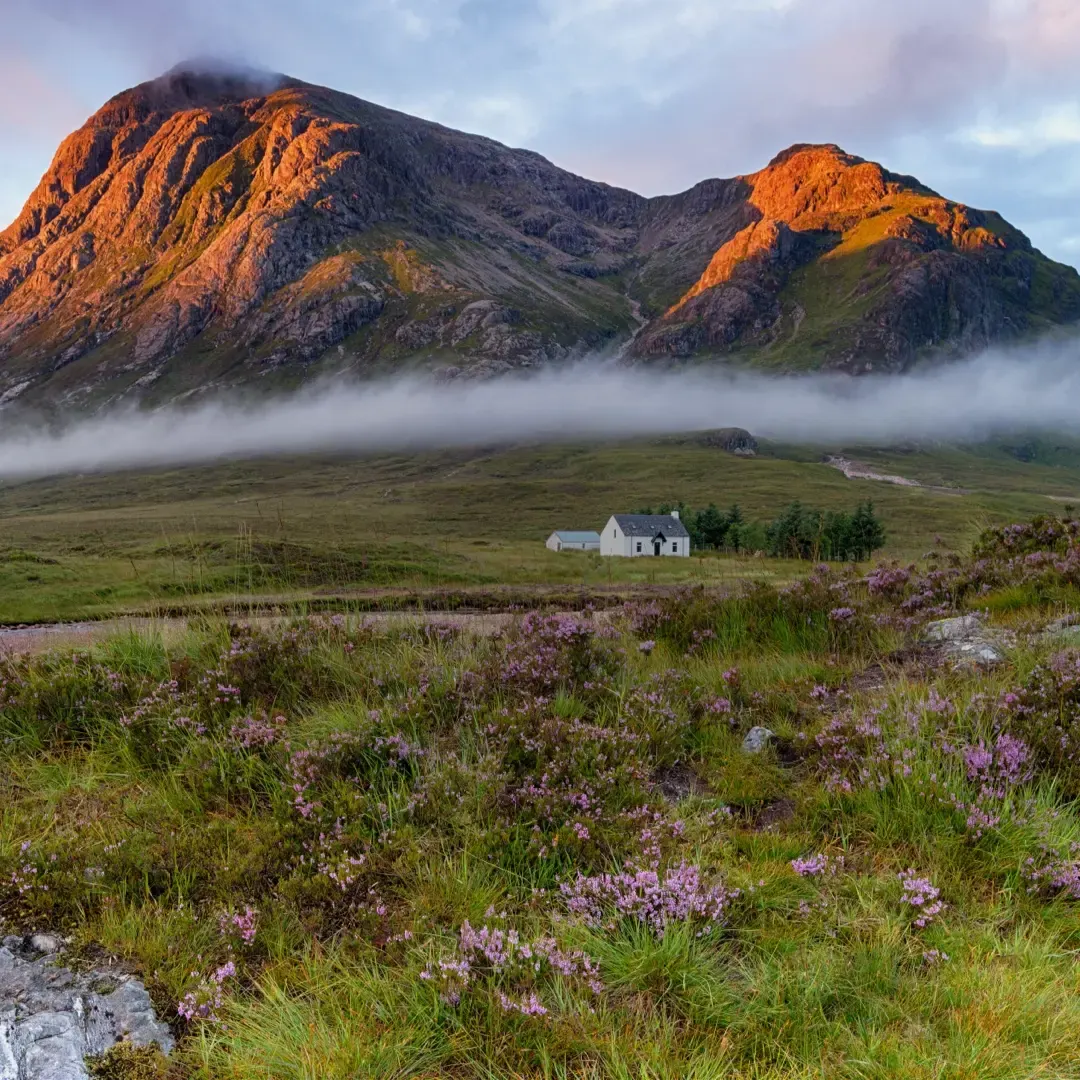 Remote Highland landscape with a white cottage nestled in a valley beneath golden-lit mountains shrouded in mist, purple heather flowering in foreground.