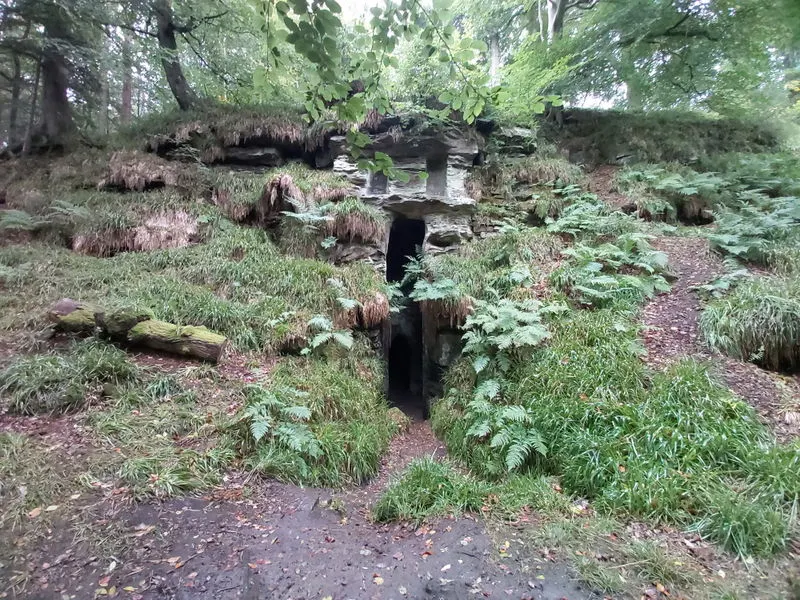 Moss-covered stone structure with dark openings nestled among ferns and vegetation in a woodland setting.
