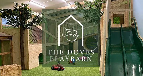 The Doves Play Barn