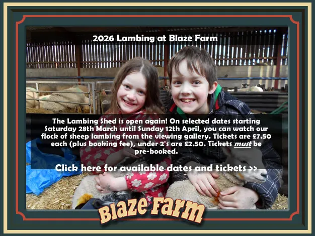 Blaze Farm & The Potty Sheep