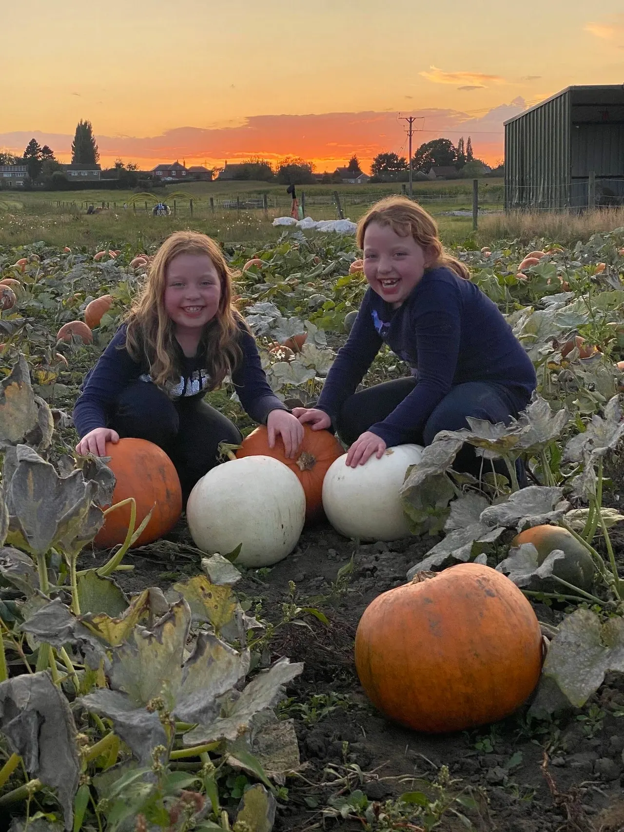 Two girls posing with pumpkins in a pumpkin patch at sunset on a farm.